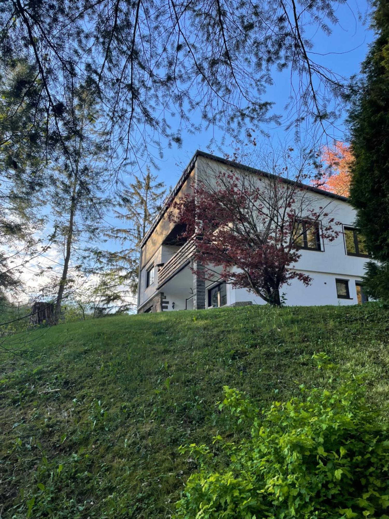 Talblick Chalet Blankenheim Бланкенгайм Екстер'єр фото